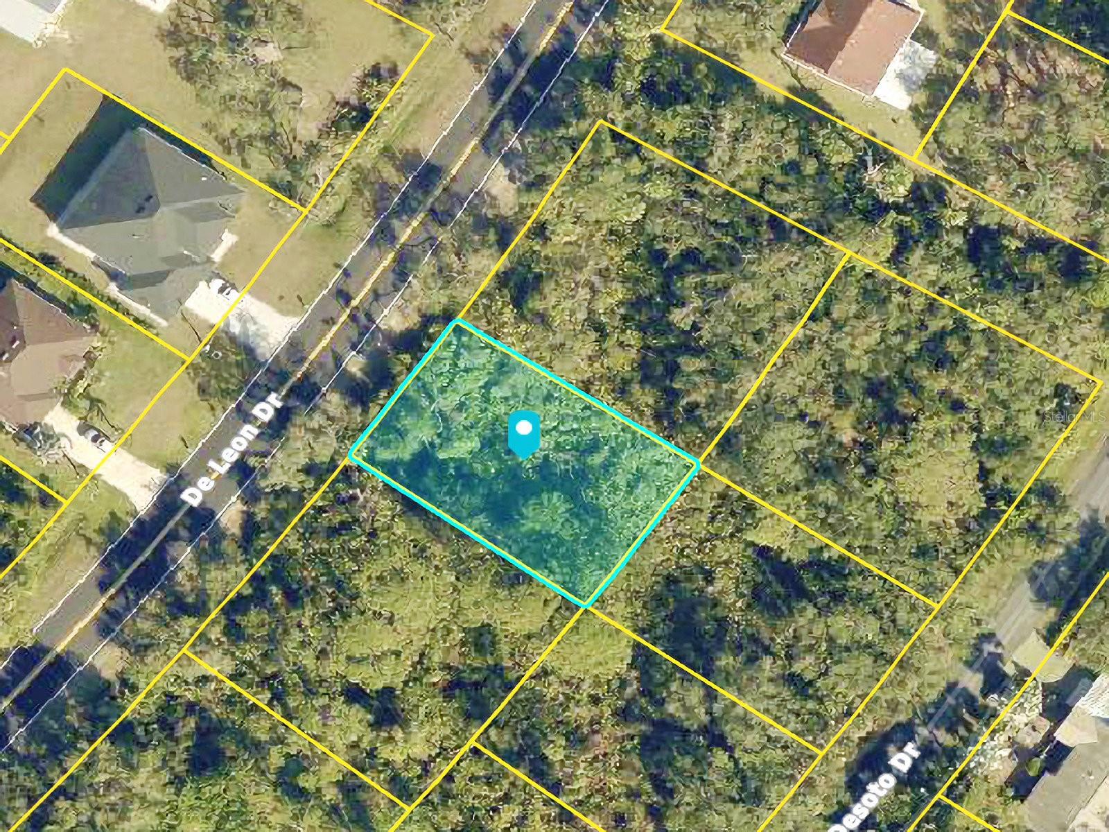 De Leon Dr Property Photo 3