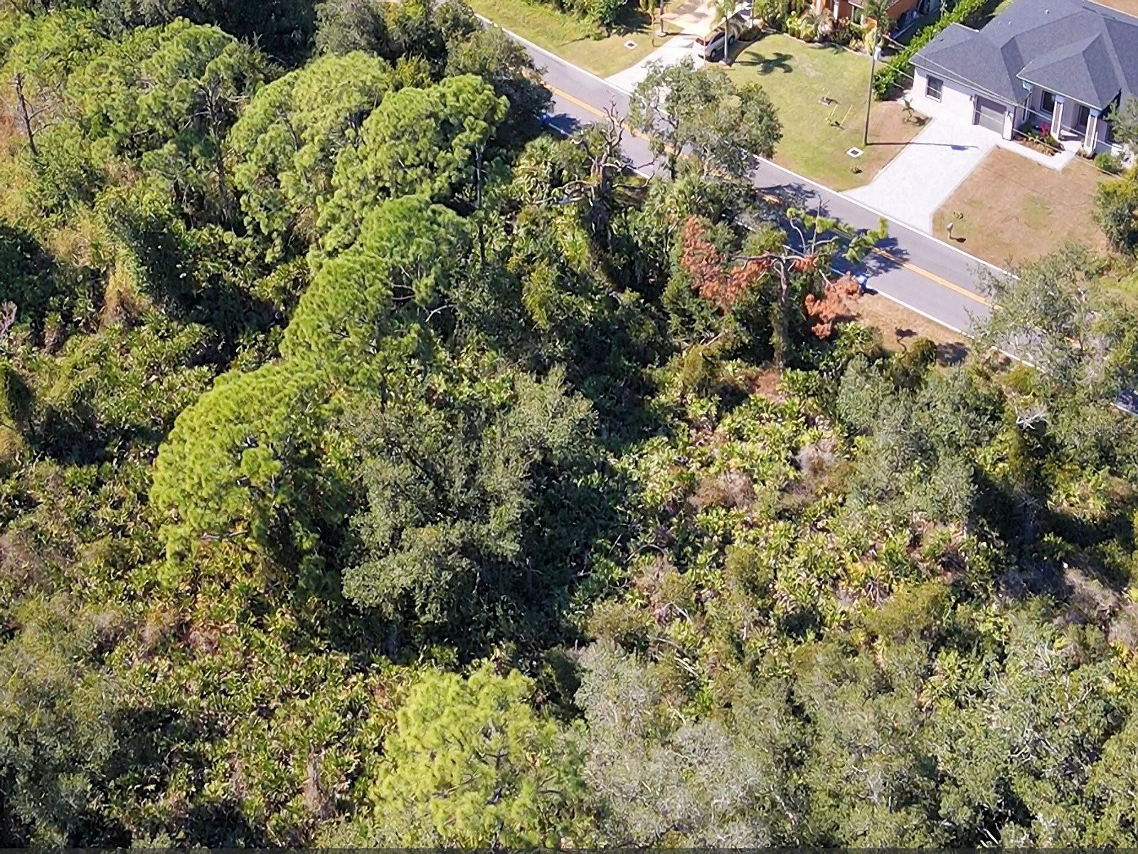 De Leon Dr Property Photo 10