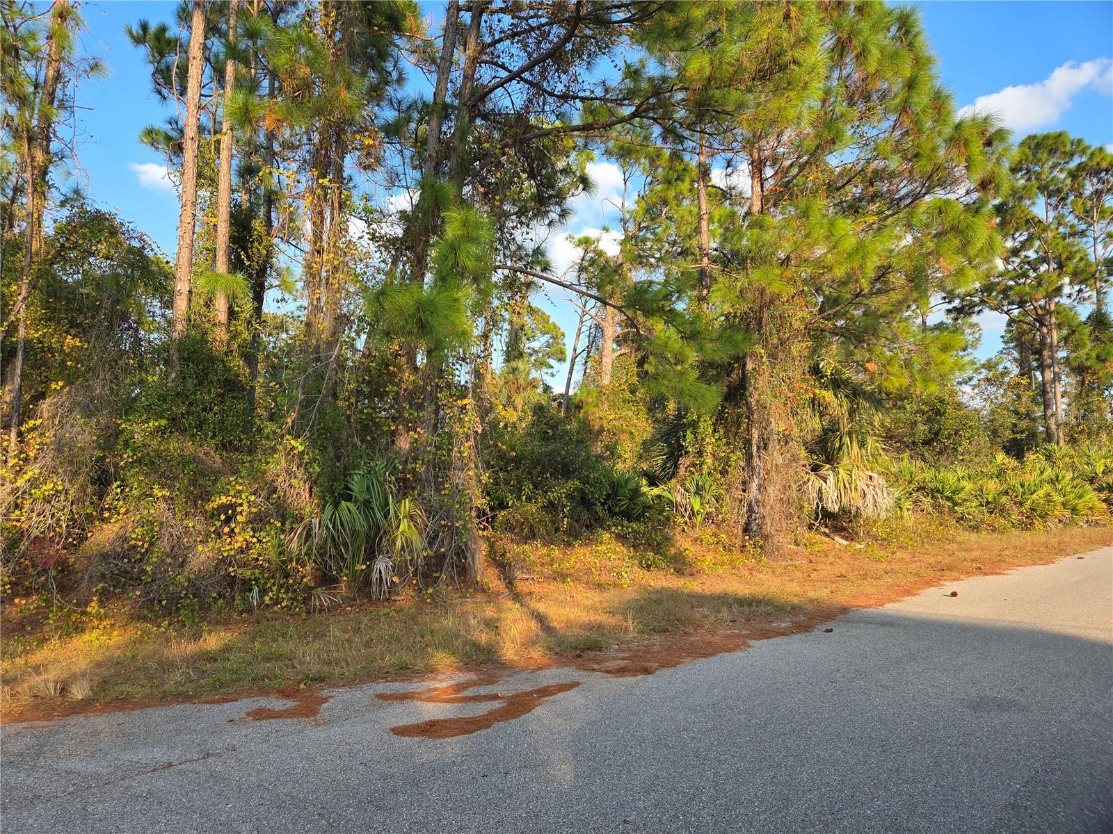 Kendsha St Property Photo 2