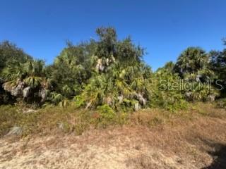 LOT 4 MATTOX CIR Property Photo 1