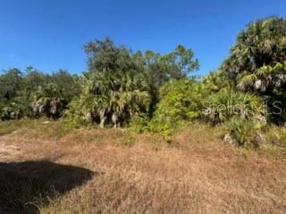 Lot 4 Mattox Cir Property Photo 2