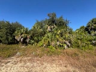 Lot 4 Mattox Cir Property Photo 3
