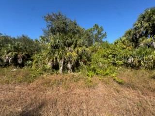 Lot 4 Mattox Cir Property Photo 4