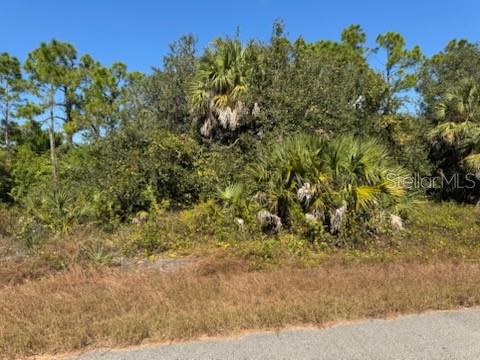 LOT 2 MATTOX CIR Property Photo 1