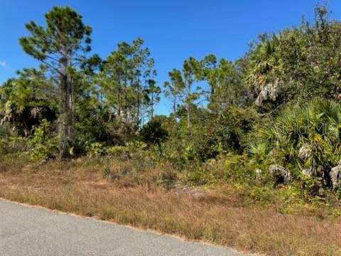 Lot 2 Mattox Cir Property Photo 2