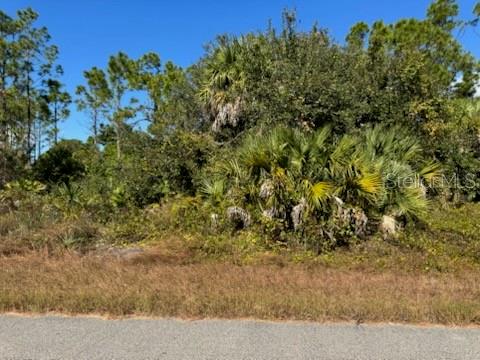 Lot 2 Mattox Cir Property Photo 3