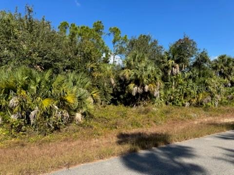 Lot 2 Mattox Cir Property Photo 4
