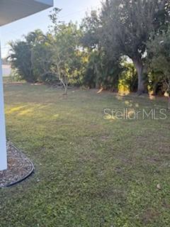 65 Allworthy St Property Photo 36