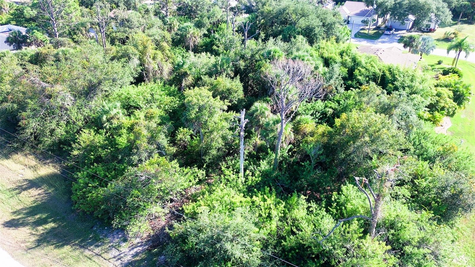 197 Cougar Way Property Photo 8