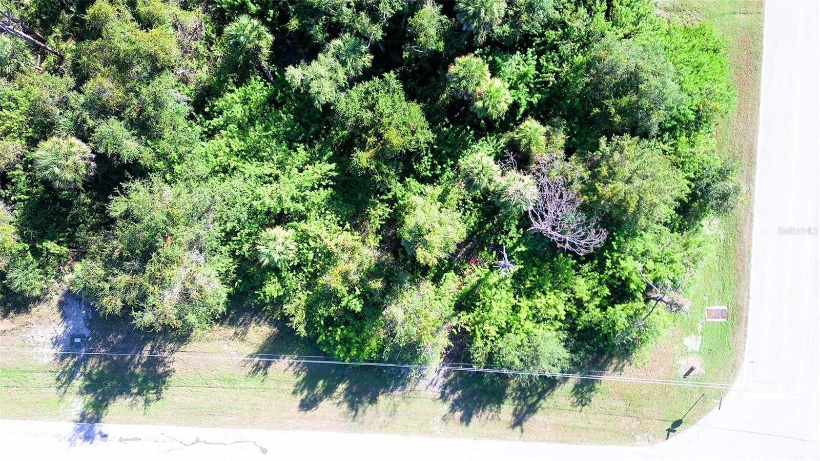 199 Cougar Way Property Photo 6