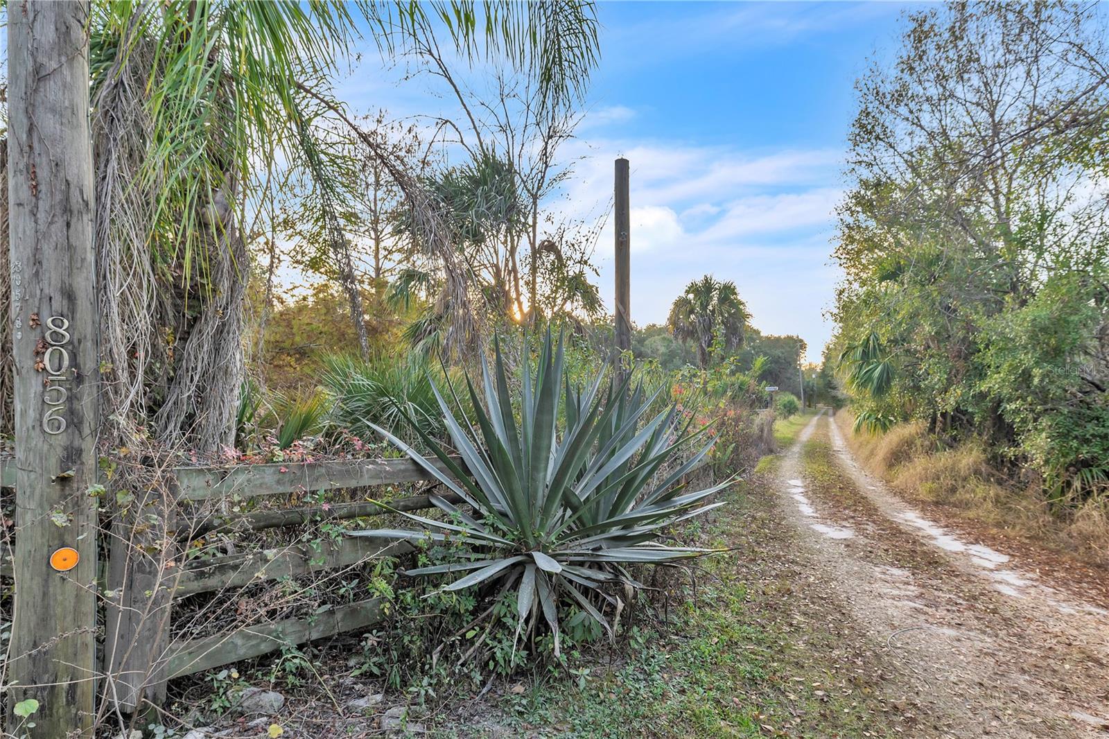 8056 Sw Horse Creek Rd Property Photo 5