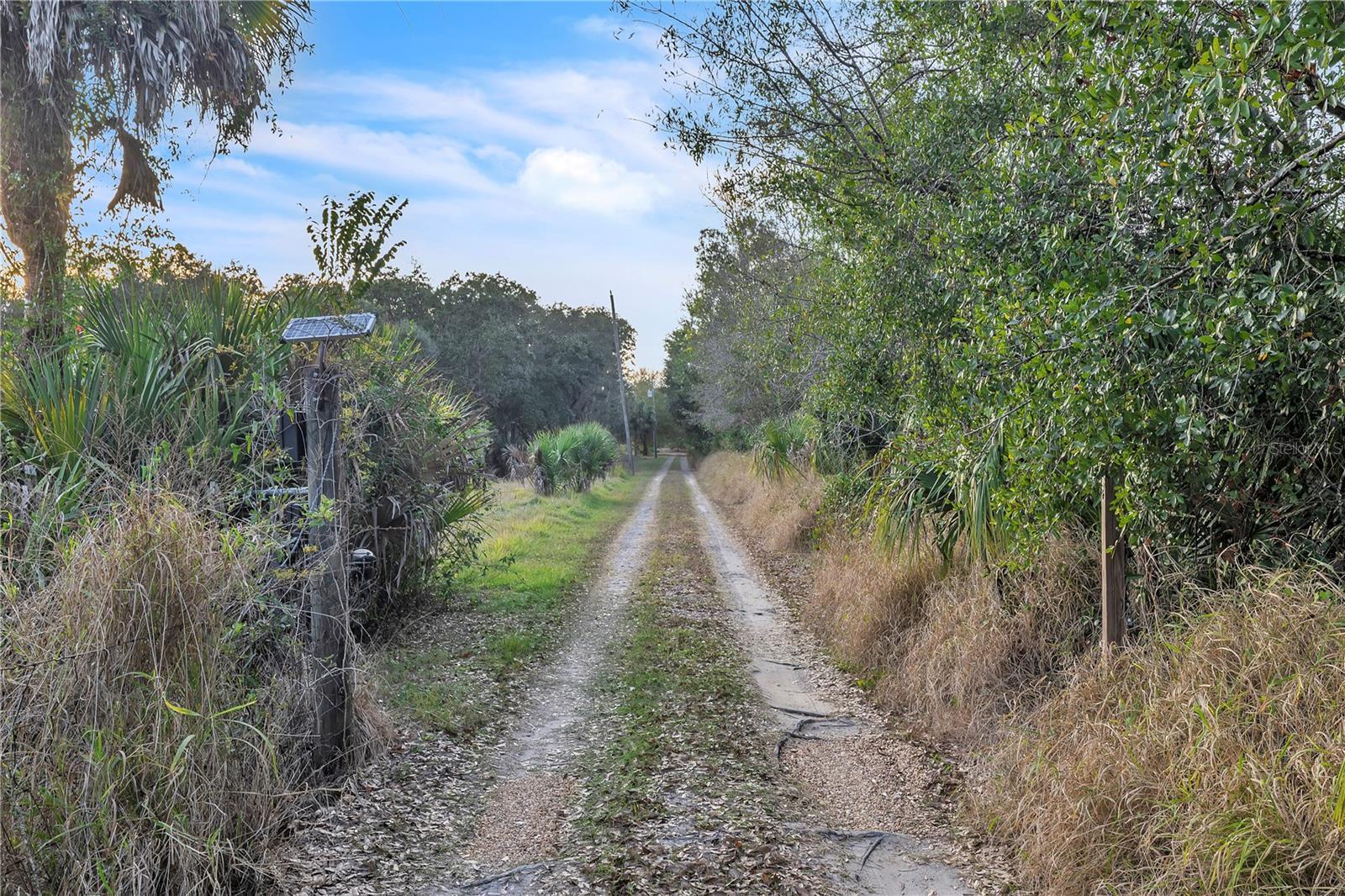8056 Sw Horse Creek Rd Property Photo 6