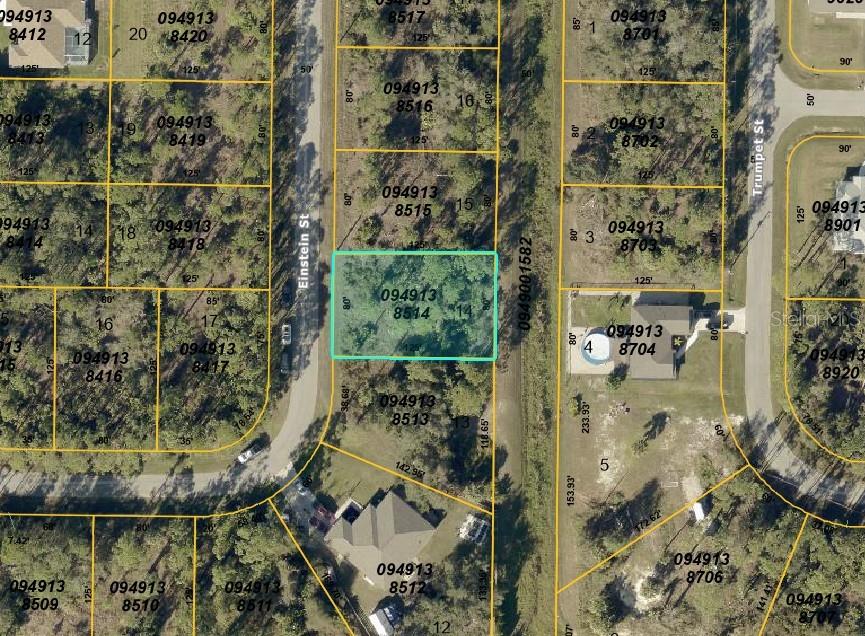 EINSTEIN ST Property Photo 1