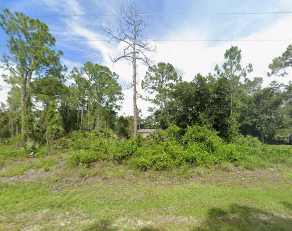 Einstein St Property Photo 3