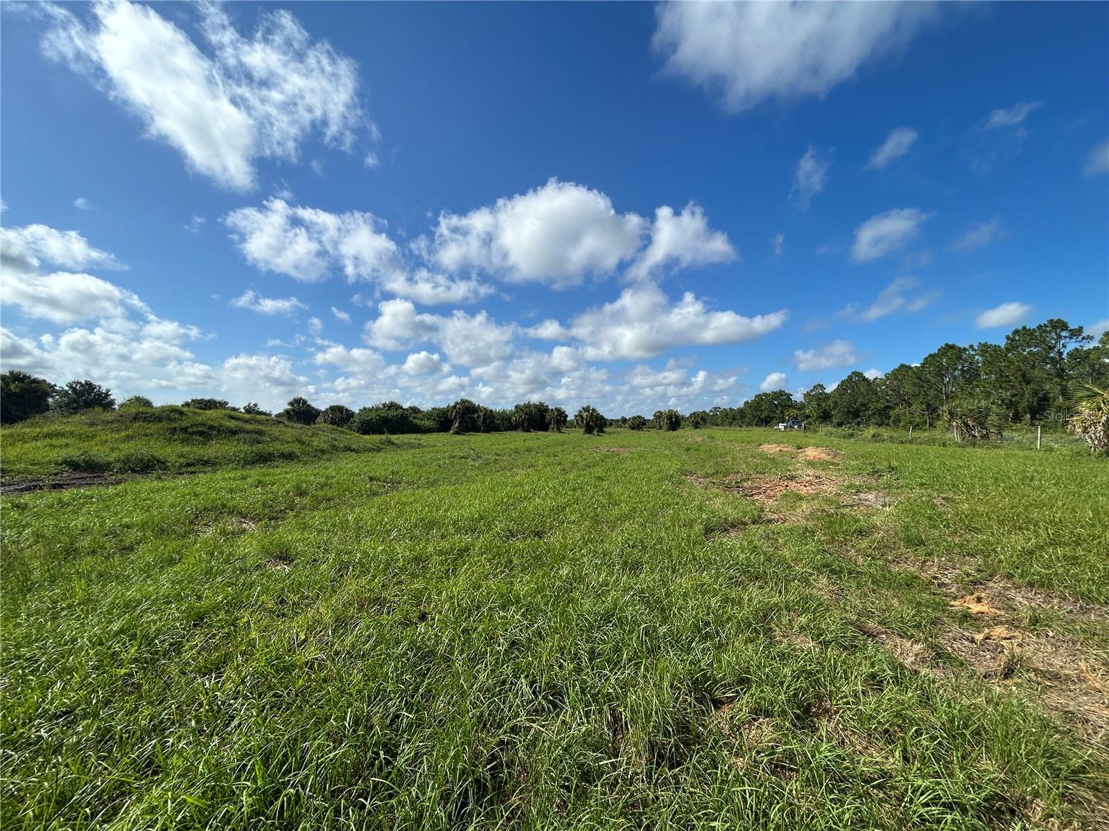 7008 Grove Blvd Property Photo 4