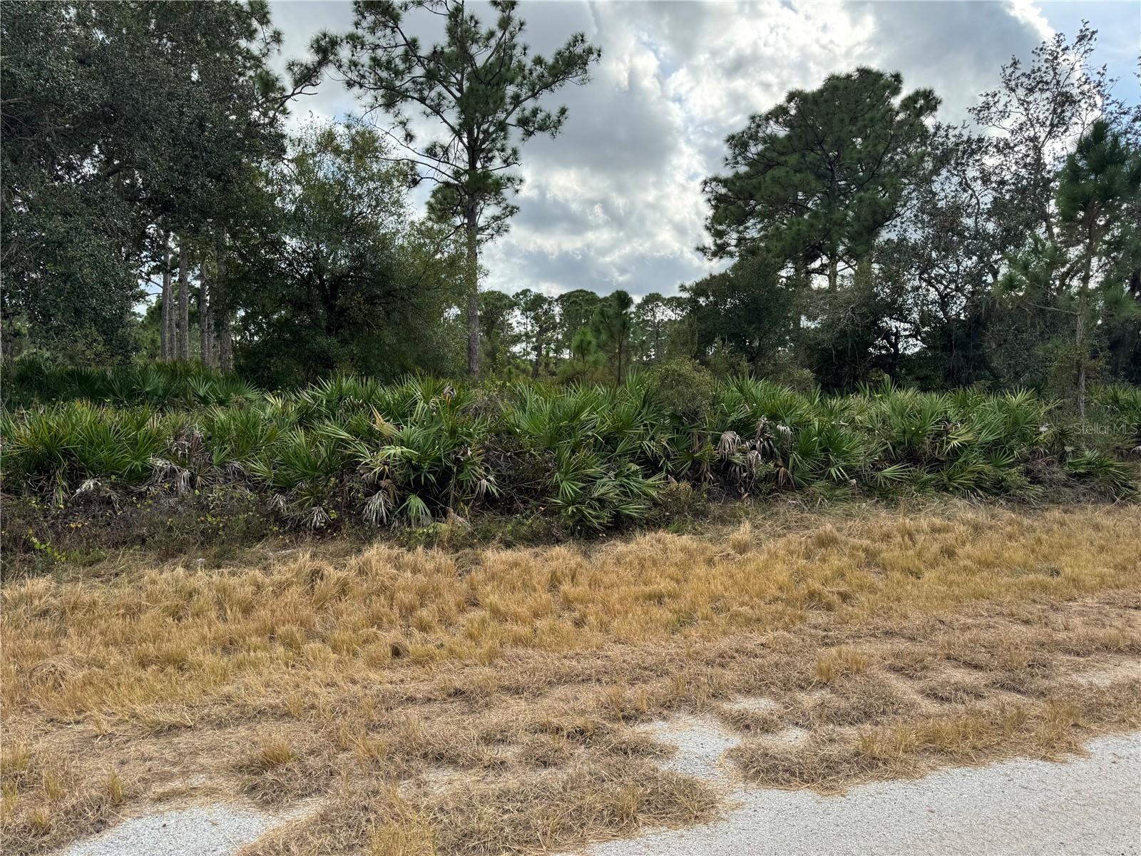BROWARD AVE Property Photo 1