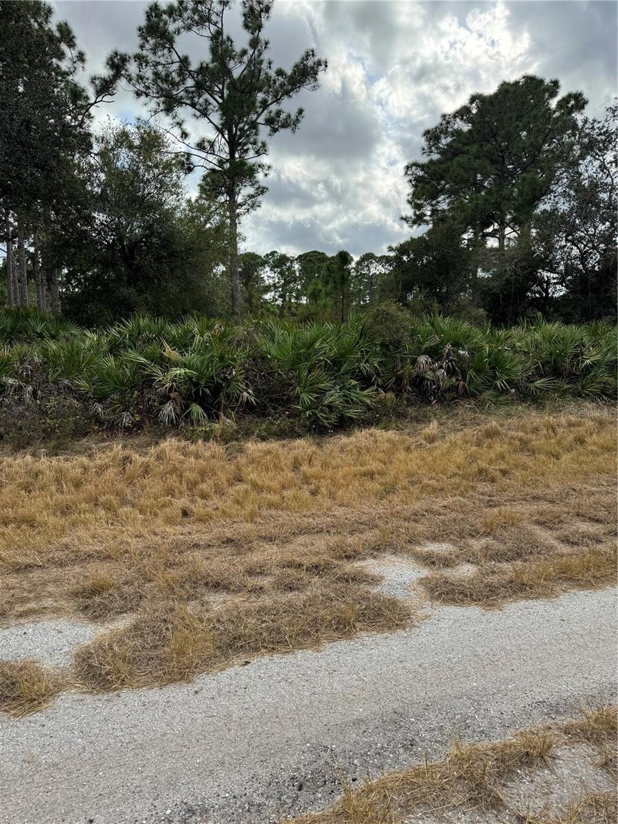 Broward Ave Property Photo 2