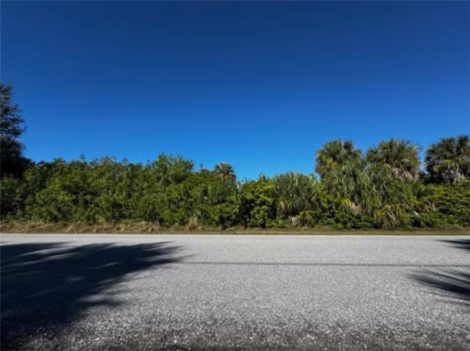 4507 Joseph St Property Photo 5