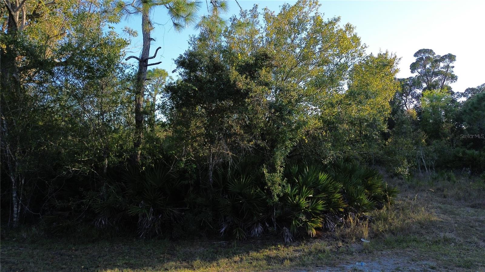 27481 Senator Dr Property Photo 1