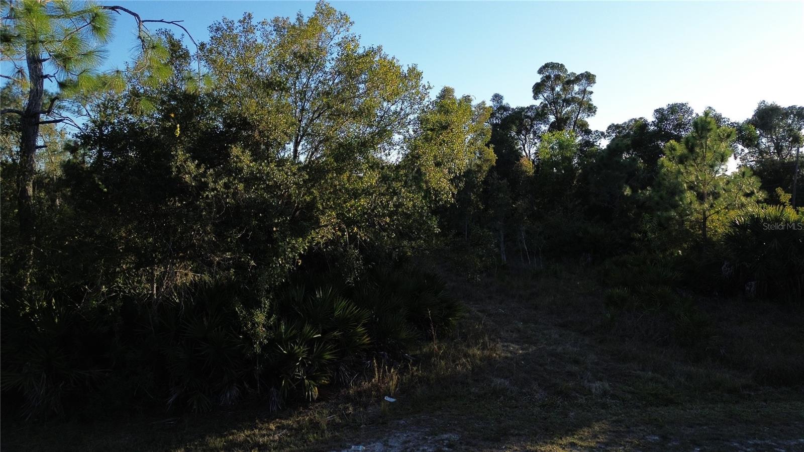 27481 Senator Dr Property Photo 2