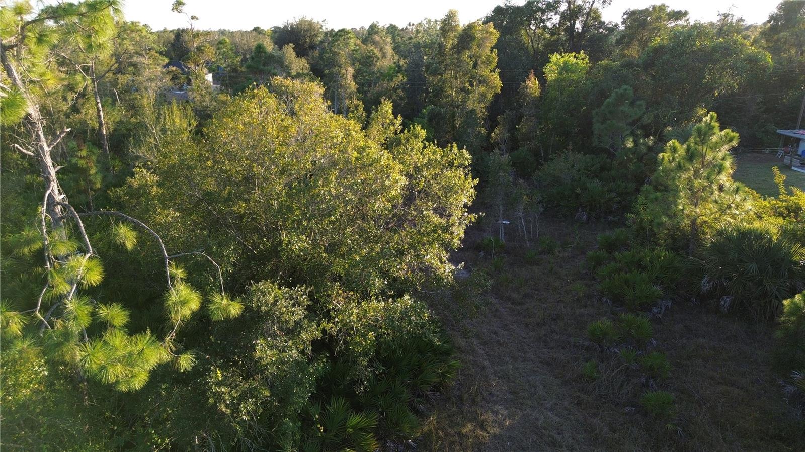 27481 Senator Dr Property Photo 3