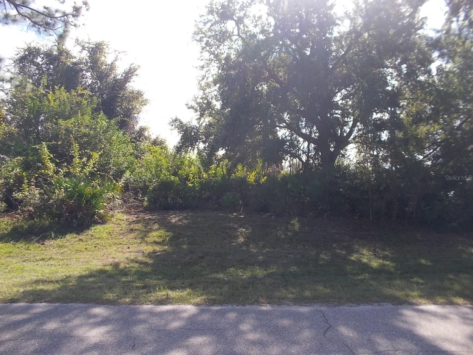 147 Yellow Pine Dr Property Photo 3