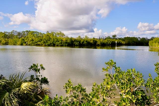 15080 Spanish Point Dr Property Photo 82