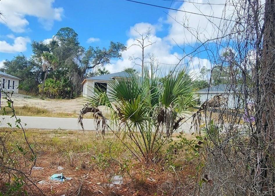 Ananas Rd Property Photo 3