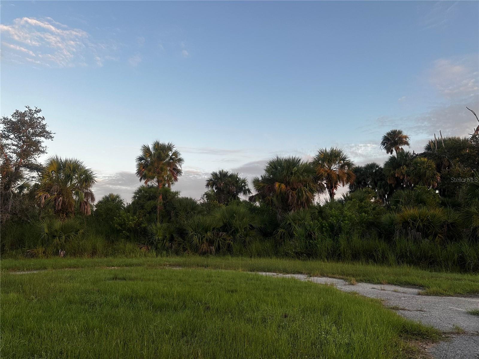Dune Ct Property Photo 1