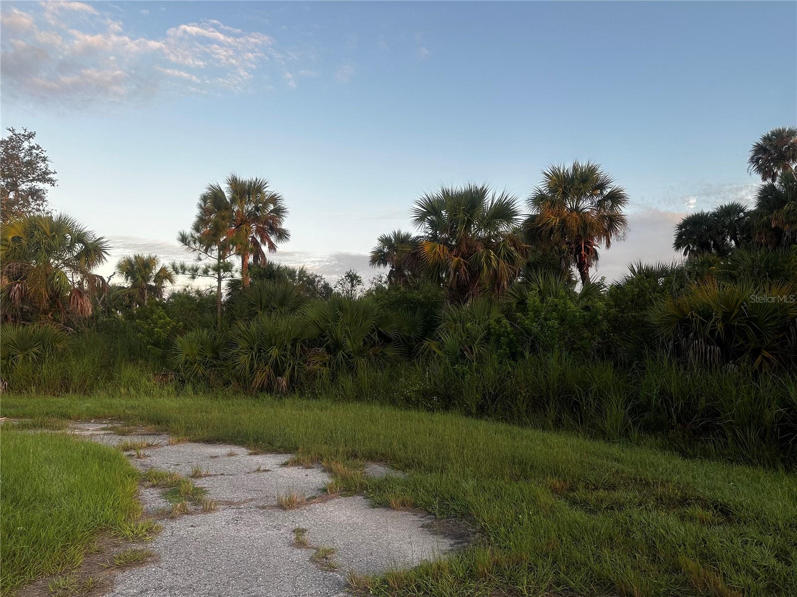 Dune Ct Property Photo 3