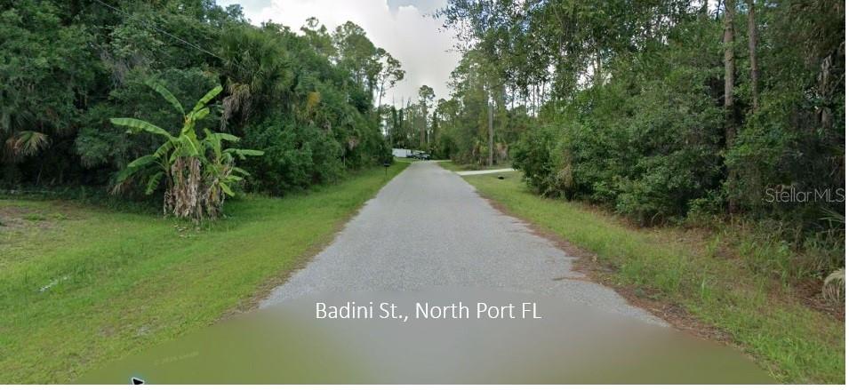 Badini St Property Photo 2