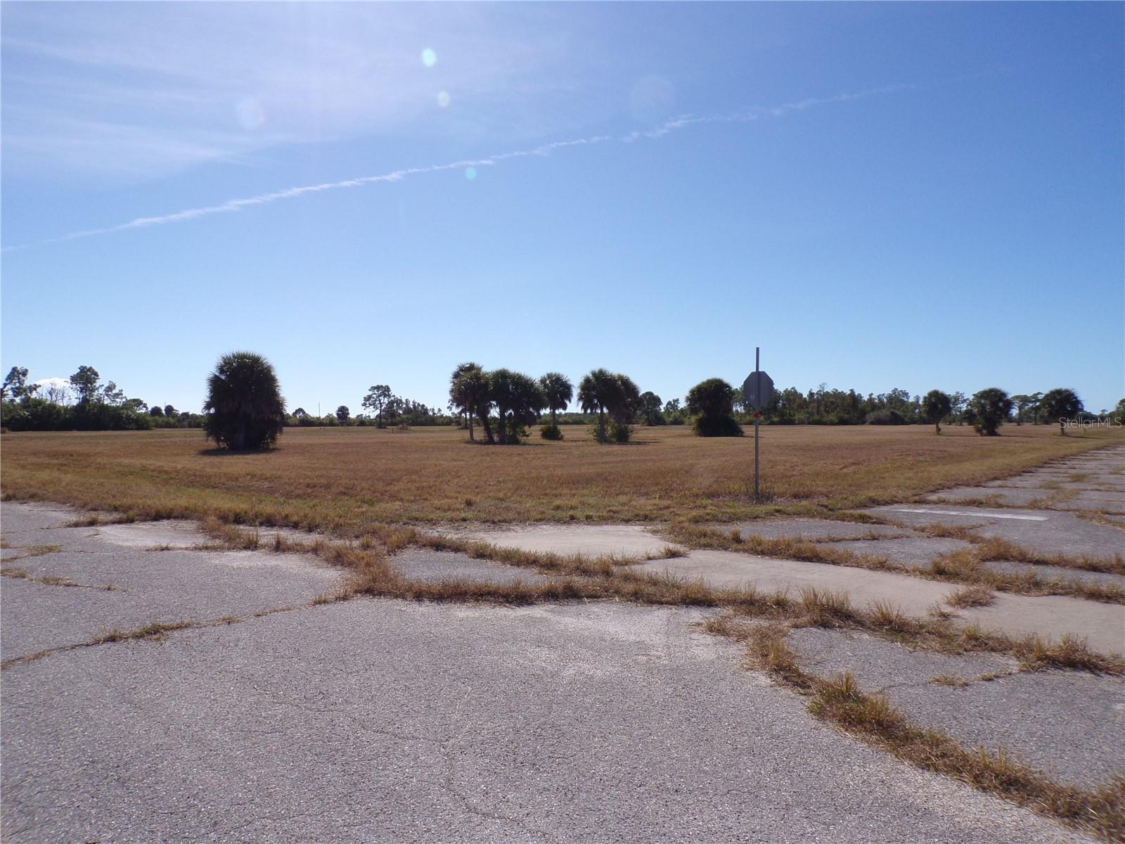 12074 SALITPA CT Property Photo 1