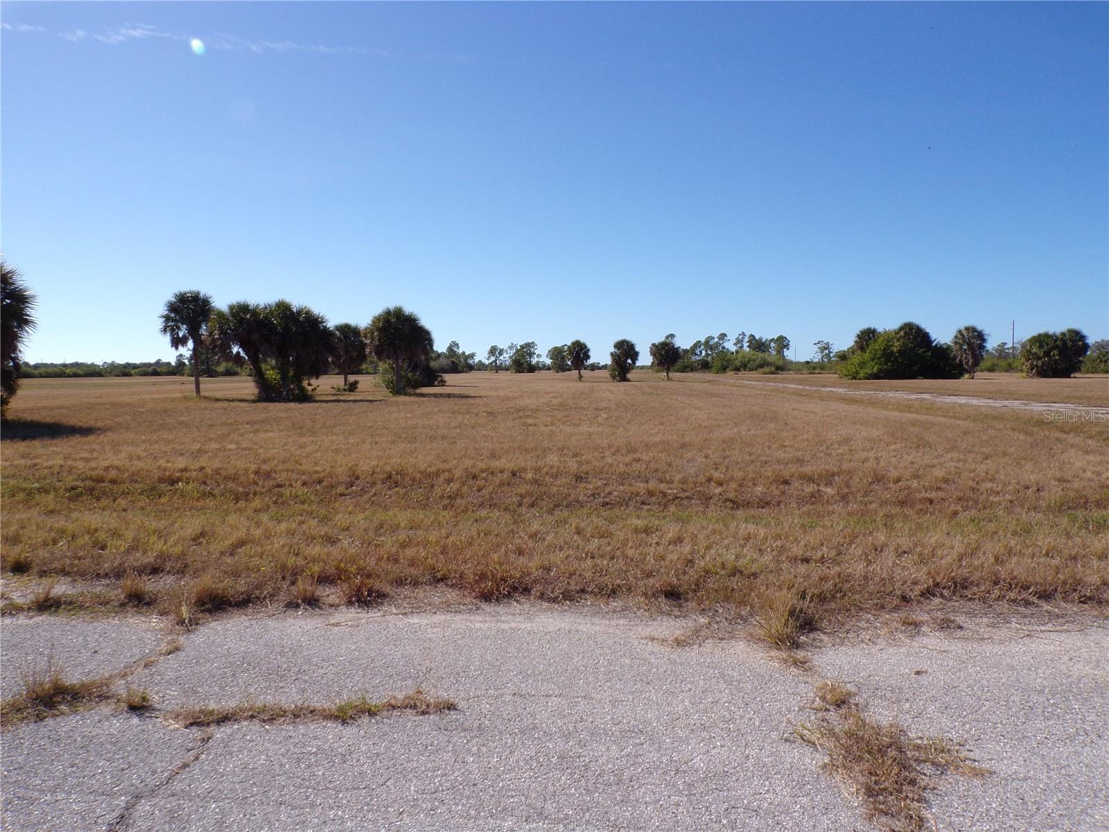 12074 Salitpa Ct Property Photo 2