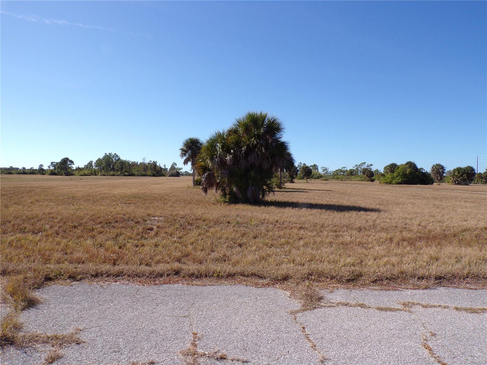12074 Salitpa Ct Property Photo 3
