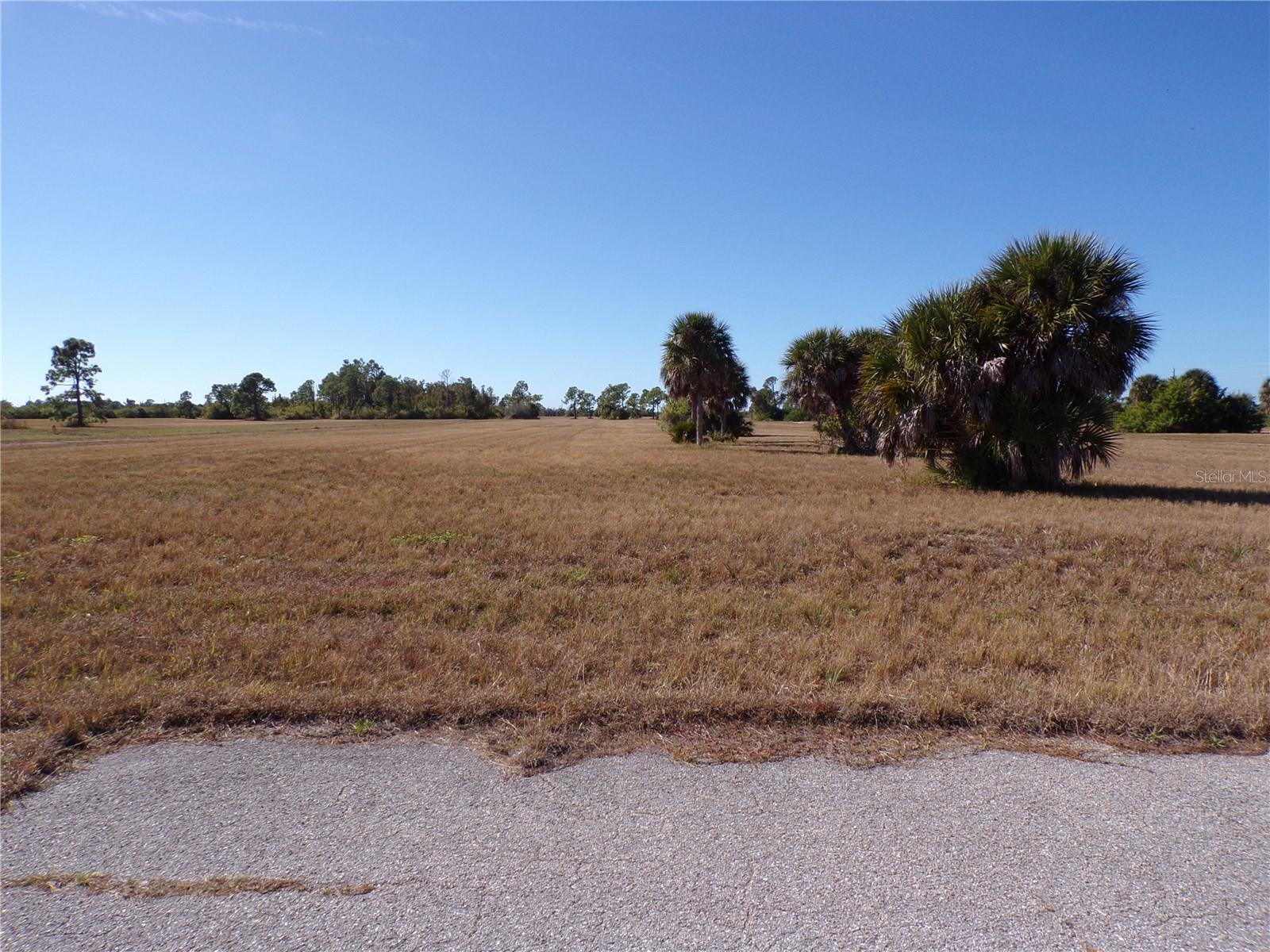 12074 Salitpa Ct Property Photo 5