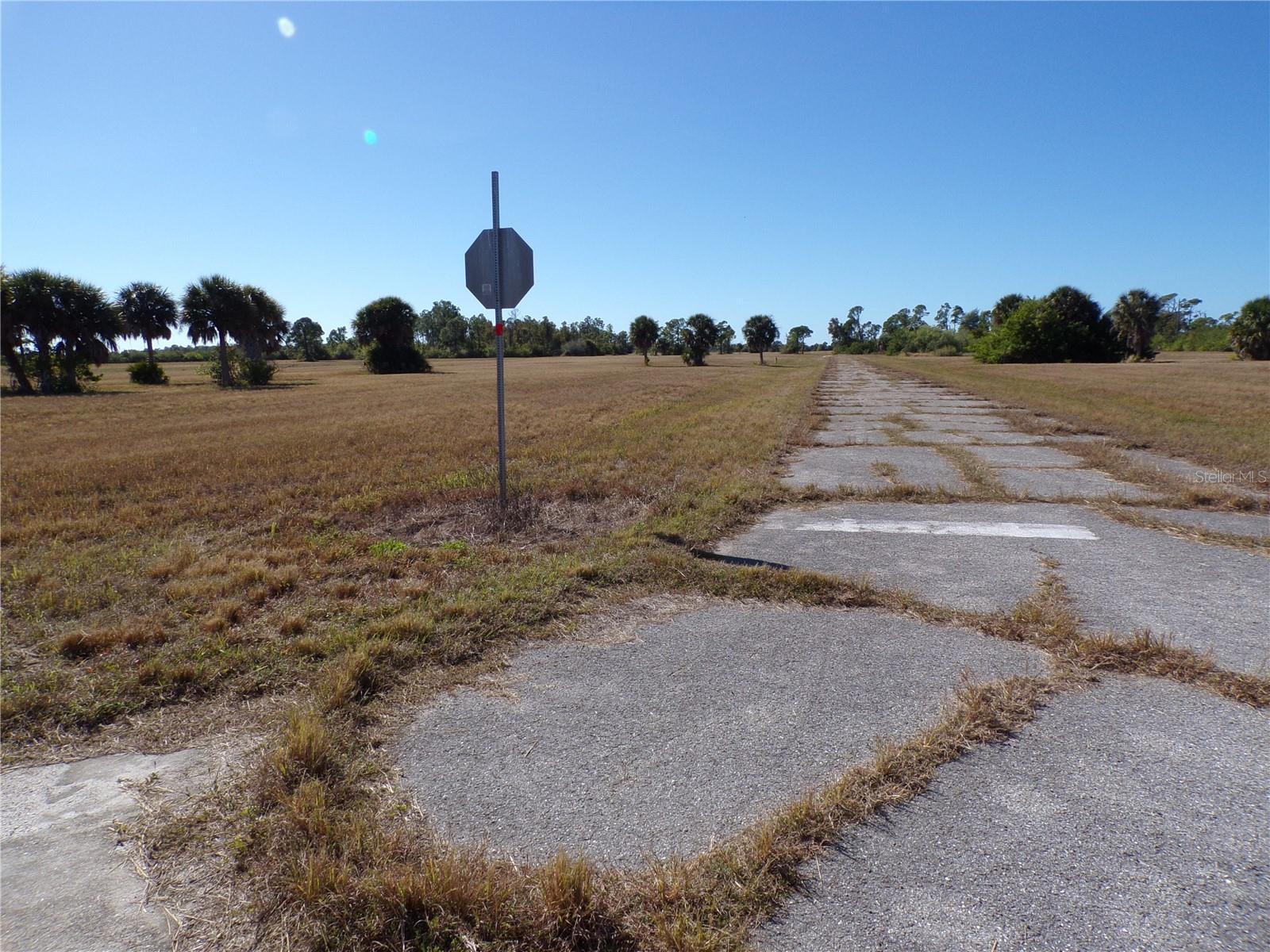 12074 Salitpa Ct Property Photo 8