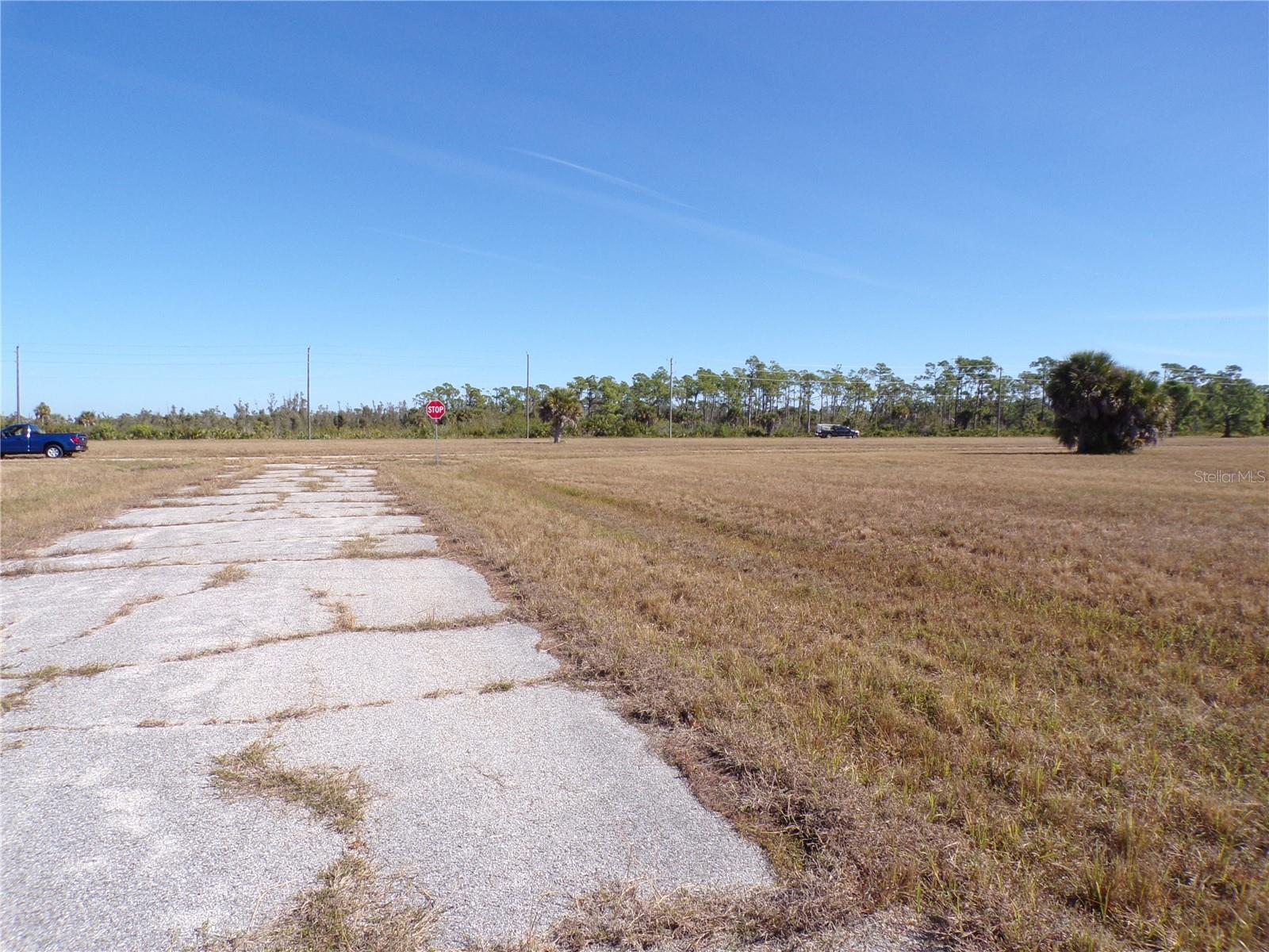 12074 Salitpa Ct Property Photo 13