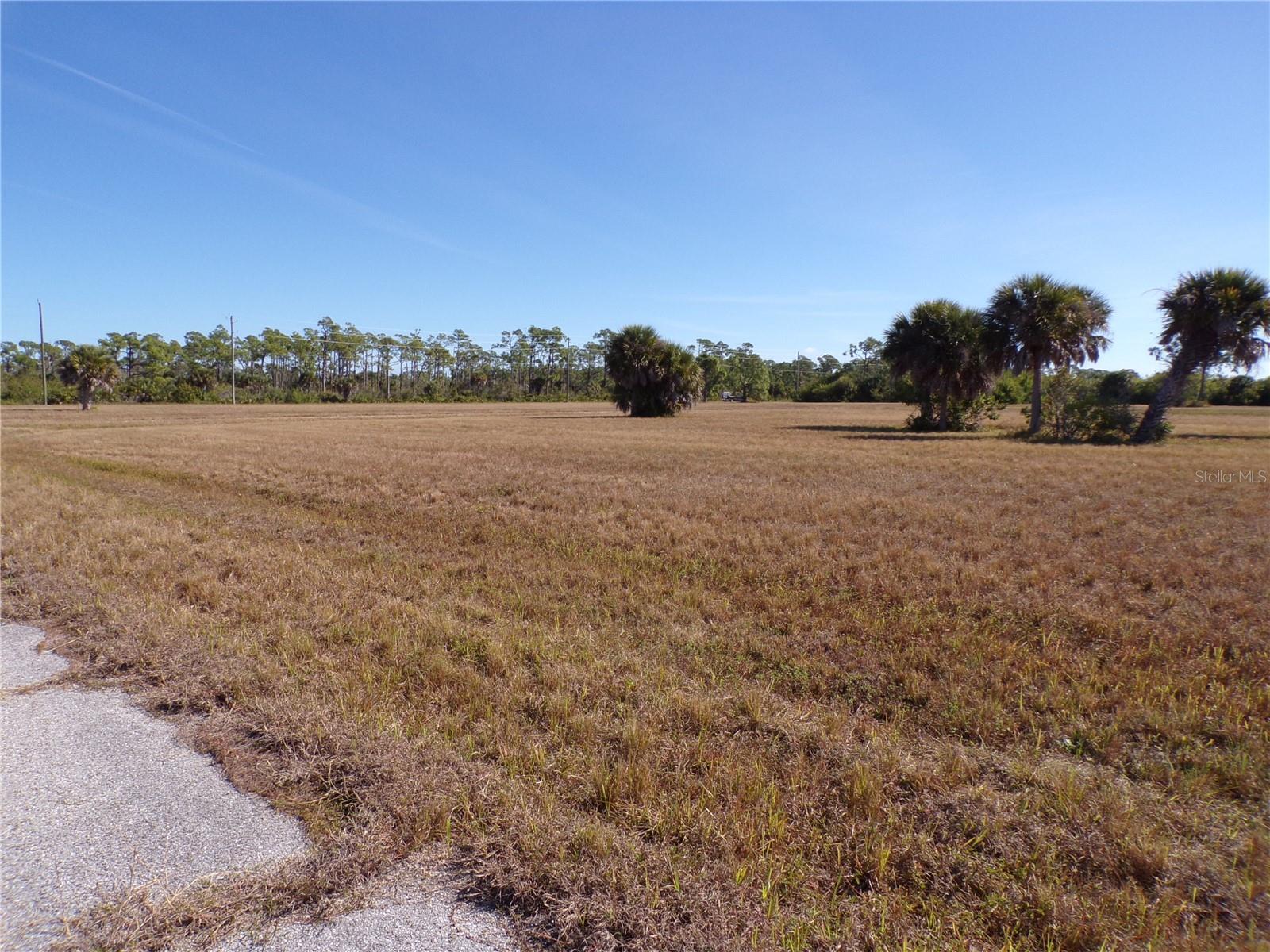 12074 Salitpa Ct Property Photo 14