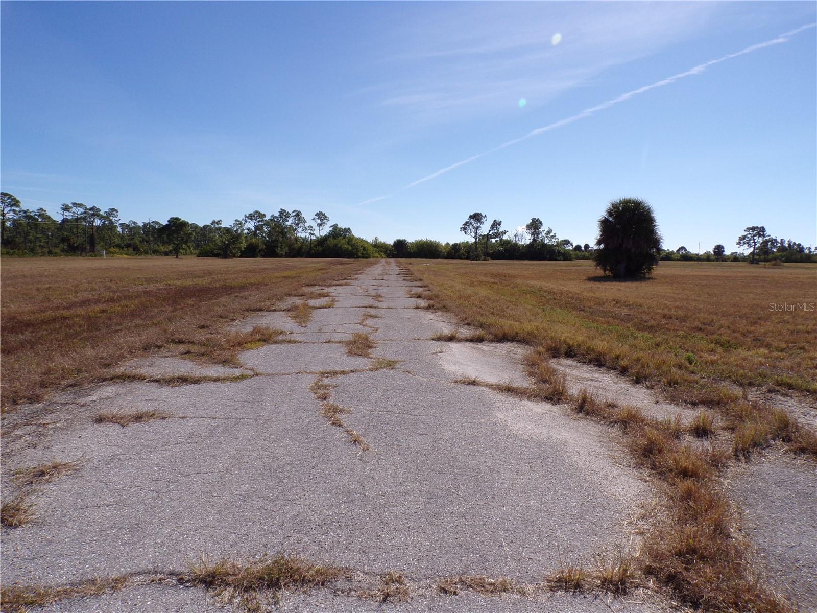 12074 Salitpa Ct Property Photo 16