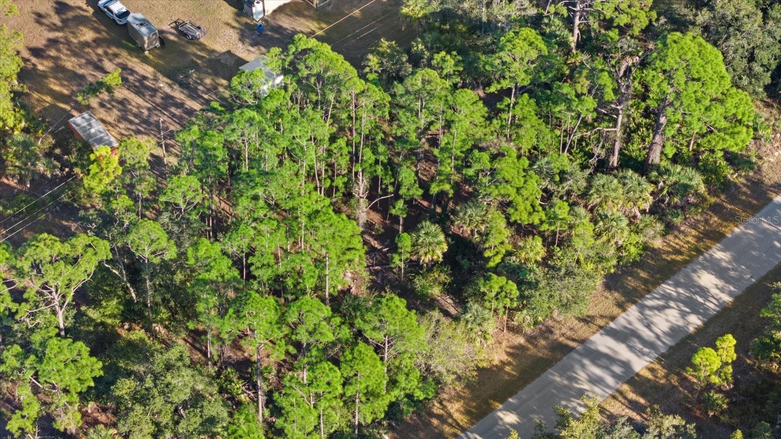 15074 Cannell Ln Property Photo 8