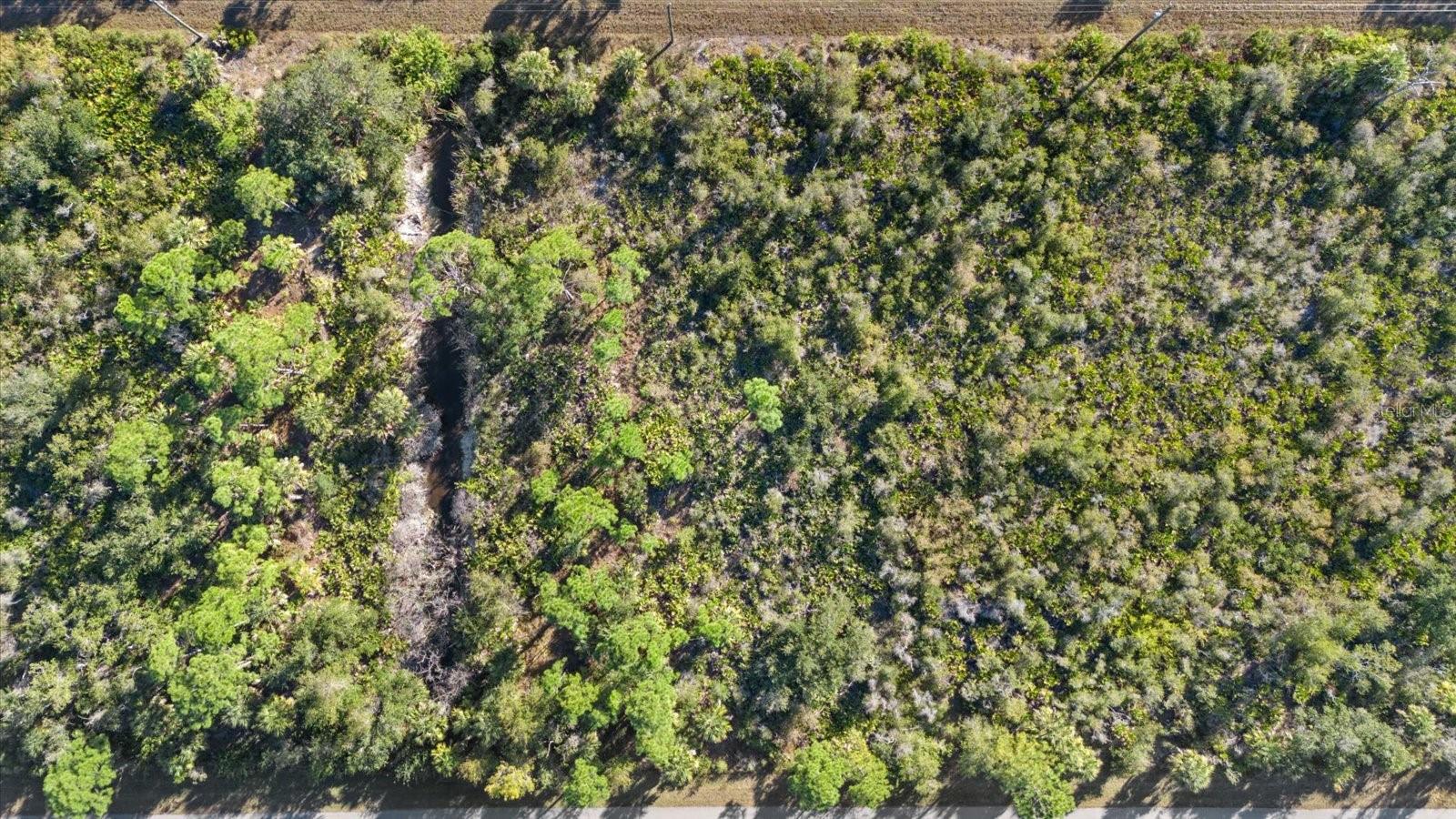 14113 Hydrangea Ave Property Photo 9