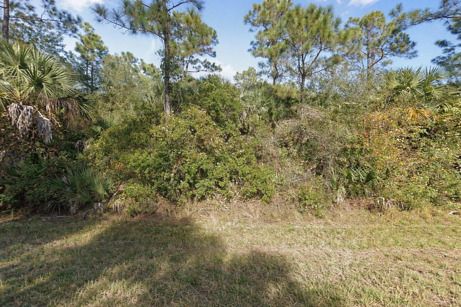 26184 Custer Rd Property Photo 3