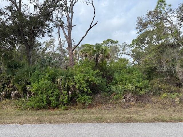 449 Lemoyne St Property Photo 4