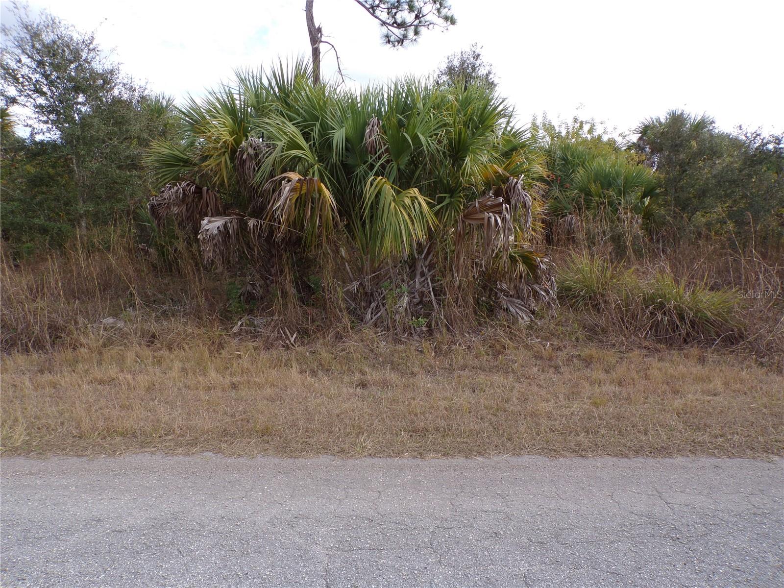 Silverleaf Rd Property Photo 1