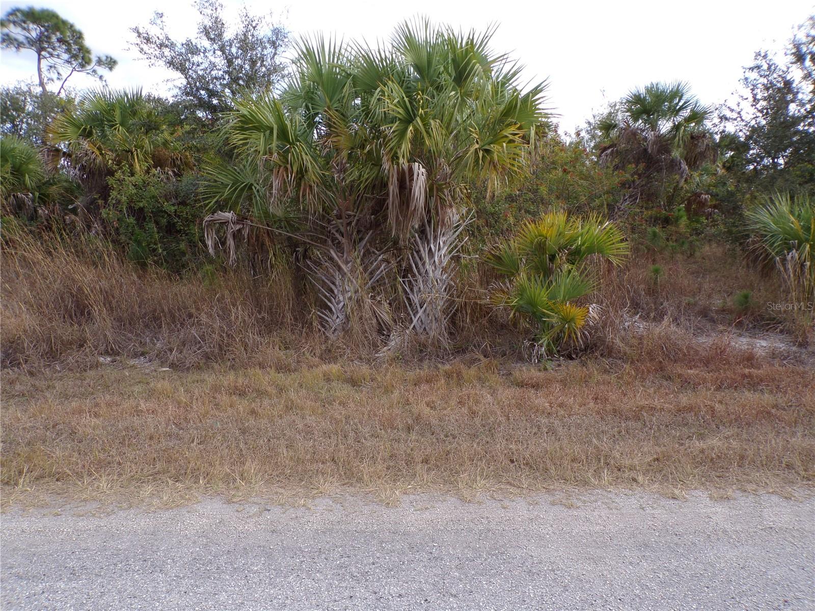Silverleaf Rd Property Photo 2