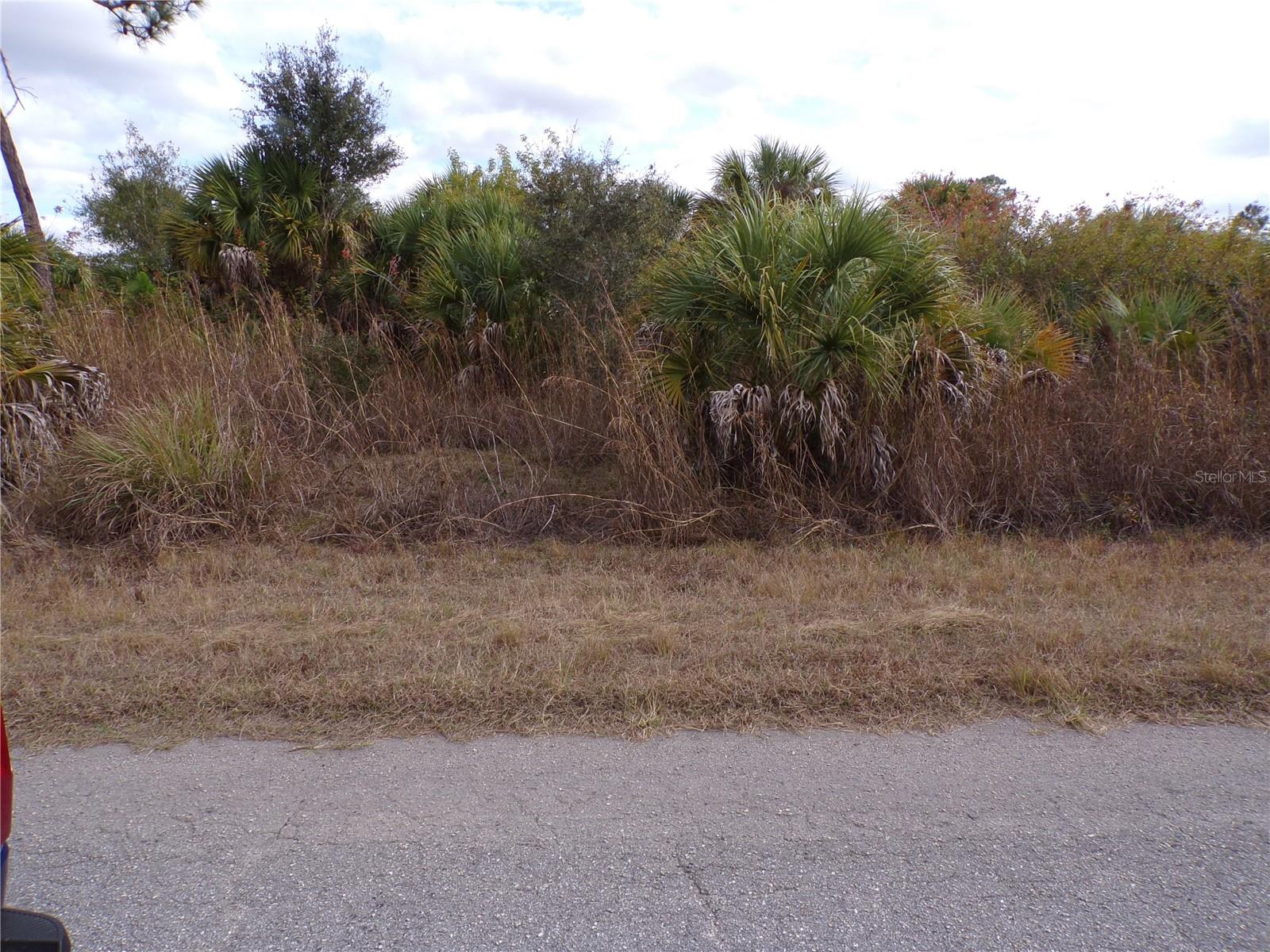 Silverleaf Rd Property Photo 5