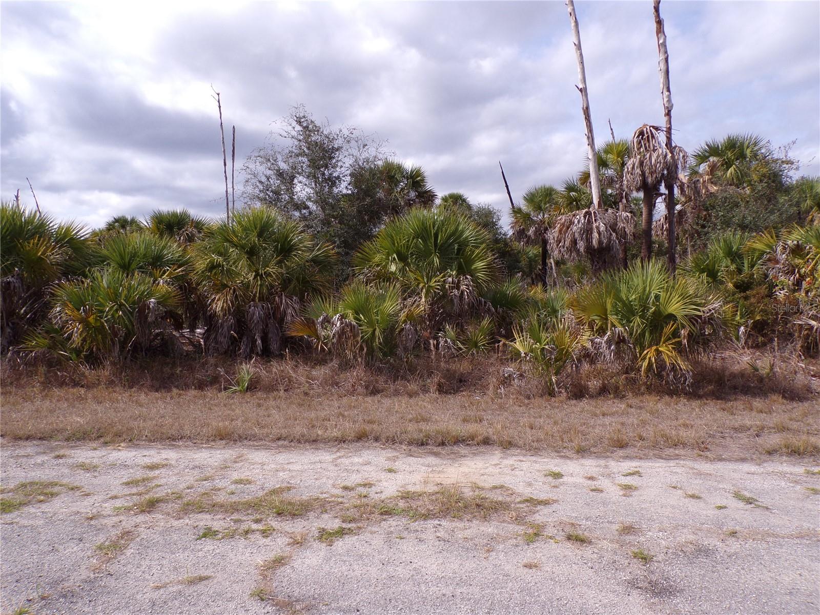 Copernicus Rd Property Photo 1
