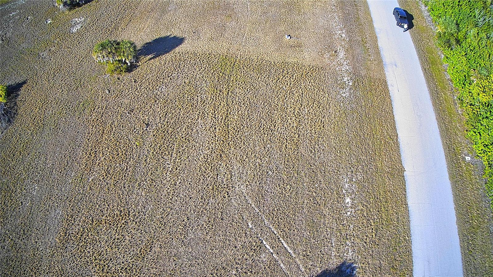 12455 Blue Marlin Rd Property Photo 10