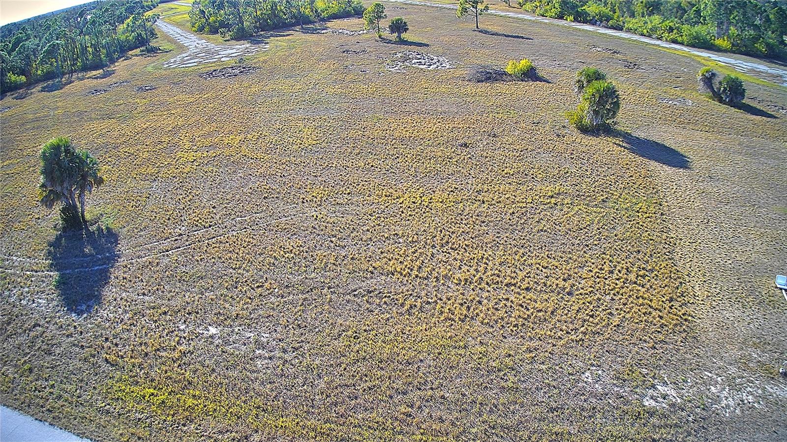 12455 Blue Marlin Rd Property Photo 11