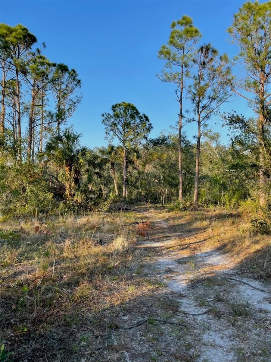 1215 Harbour Breeze Ct Property Photo 7